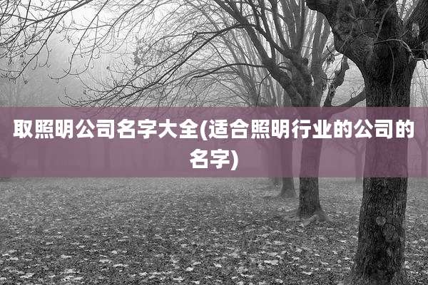 取照明公司名字大全(适合照明行业的公司的名字)