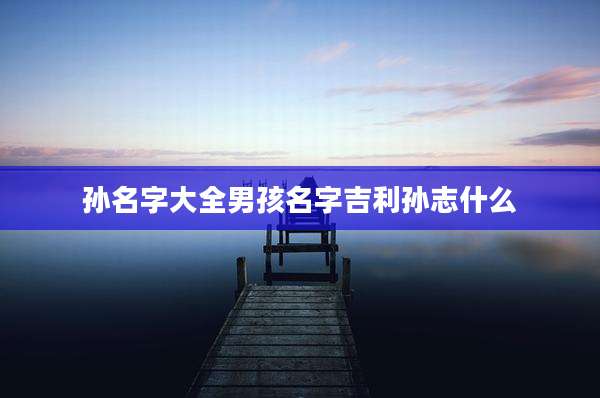 孙名字大全男孩名字吉利孙志什么