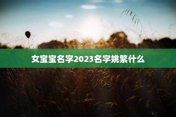 女宝宝名字2023名字姚繁什么