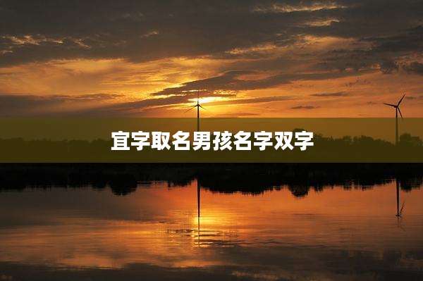 宜字取名男孩名字双字