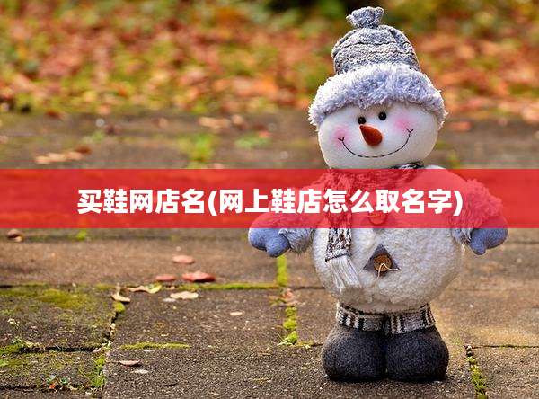买鞋网店名(网上鞋店怎么取名字)