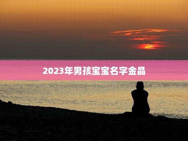 2023年男孩宝宝名字金晶