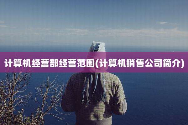 计算机经营部经营范围(计算机销售公司简介)
