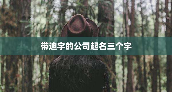 带迪字的公司起名三个字