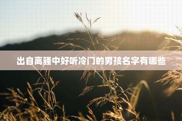 出自离骚中好听冷门的男孩名字有哪些