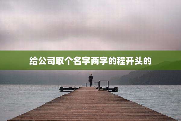 给公司取个名字两字的程开头的