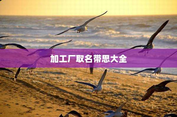 加工厂取名带思大全