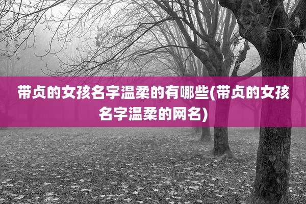 带贞的女孩名字温柔的有哪些(带贞的女孩名字温柔的网名)