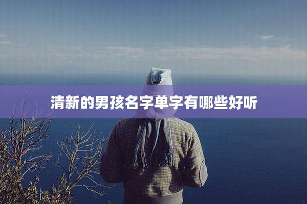 清新的男孩名字单字有哪些好听