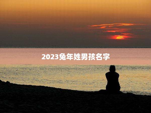 2023兔年姓男孩名字