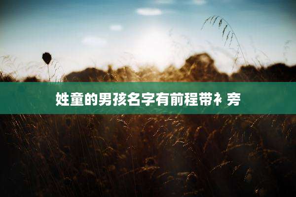 姓童的男孩名字有前程带衤旁