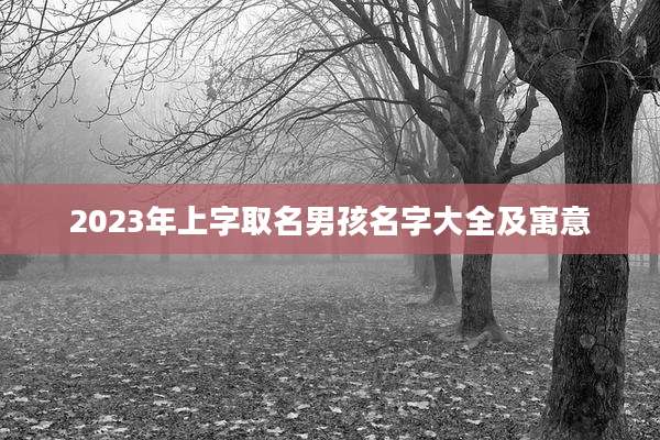 2023年上字取名男孩名字大全及寓意