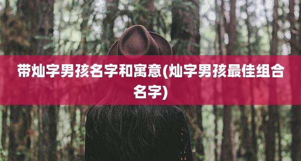 带灿字男孩名字和寓意(灿字男孩最佳组合名字)