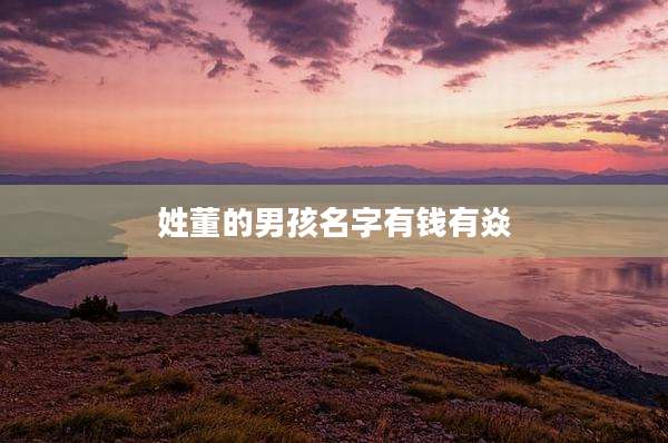姓董的男孩名字有钱有焱