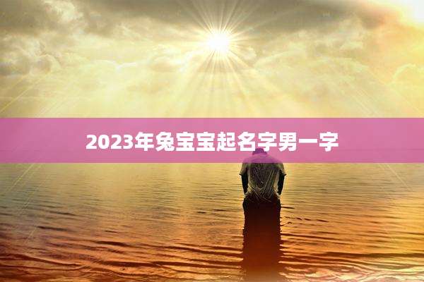 2023年兔宝宝起名字男一字