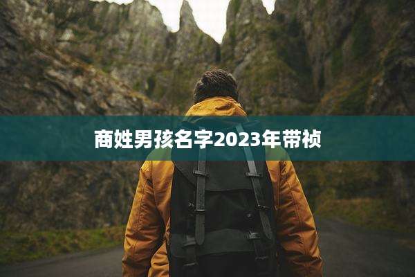 商姓男孩名字2023年带祯
