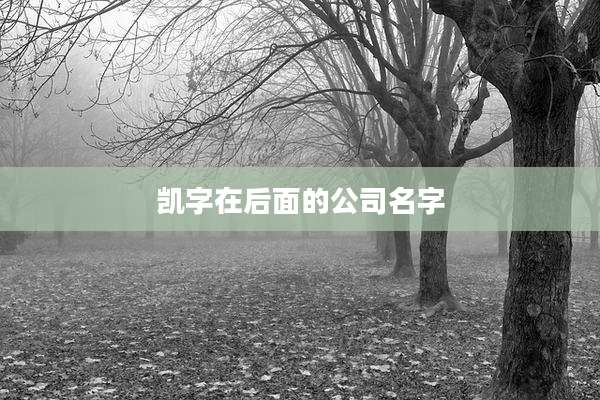 凯字在后面的公司名字