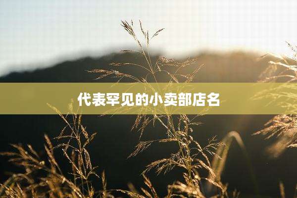 代表罕见的小卖部店名
