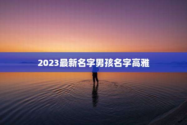 2023最新名字男孩名字高雅