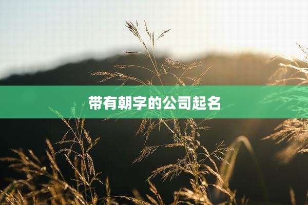 带有朝字的公司起名