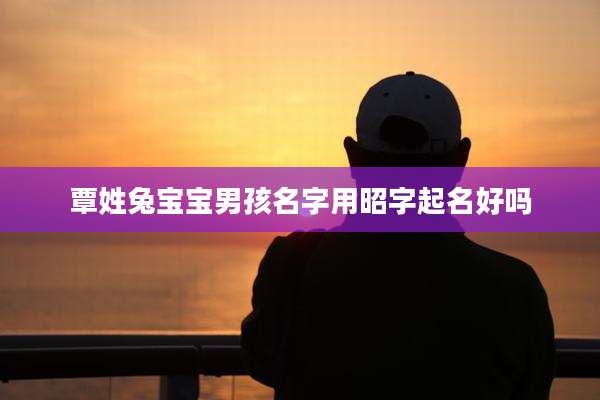 覃姓兔宝宝男孩名字用昭字起名好吗