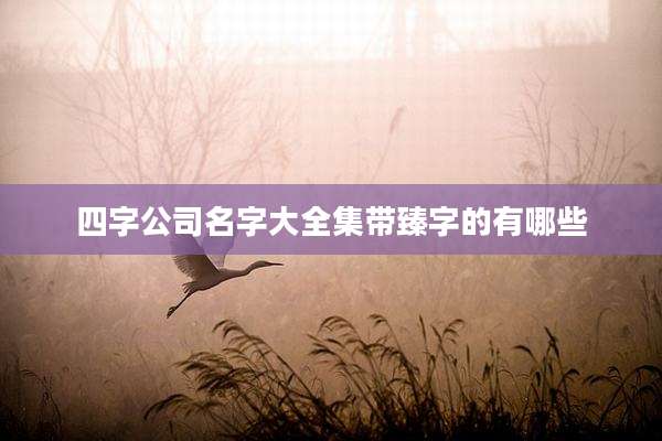 四字公司名字大全集带臻字的有哪些
