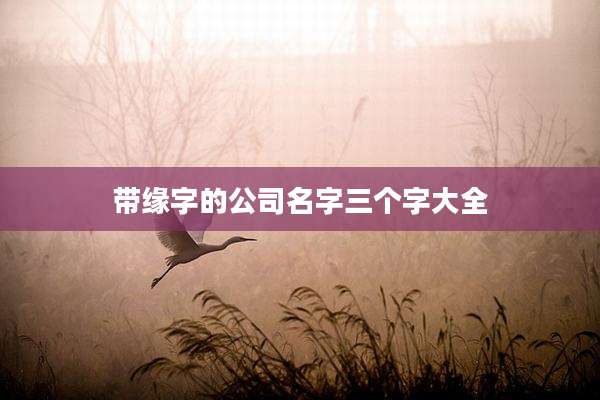 带缘字的公司名字三个字大全