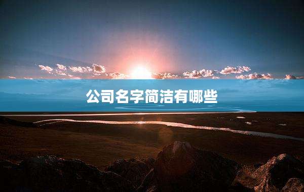 公司名字简洁有哪些