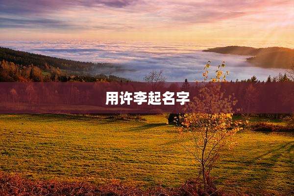 用许李起名字