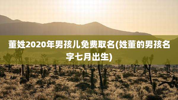 董姓2020年男孩儿免费取名(姓董的男孩名字七月出生)