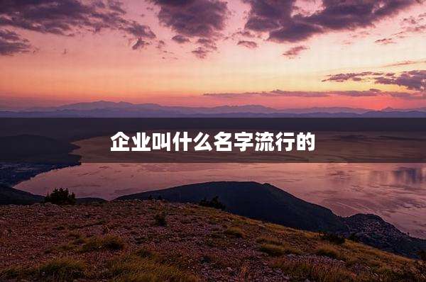 企业叫什么名字流行的