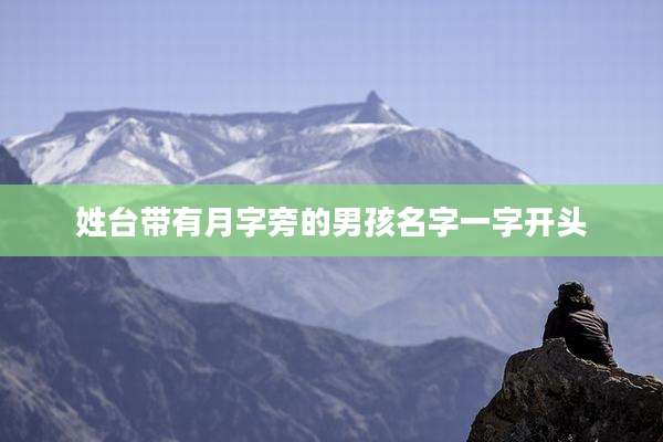 姓台带有月字旁的男孩名字一字开头