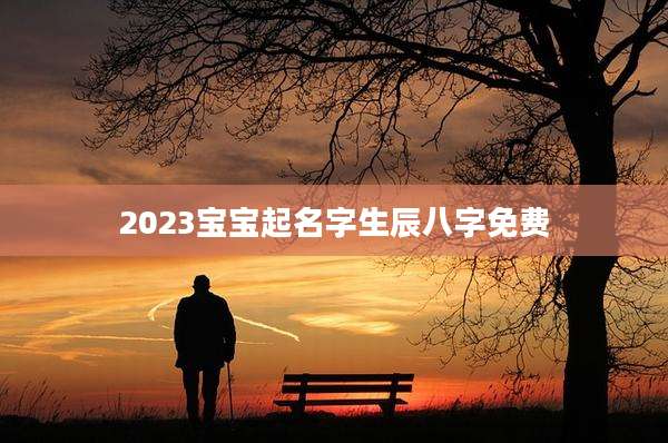 2023宝宝起名字生辰八字免费