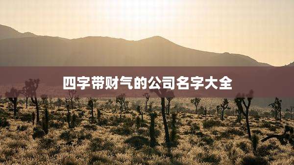 四字带财气的公司名字大全
