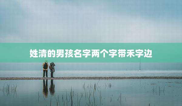 姓清的男孩名字两个字带禾字边