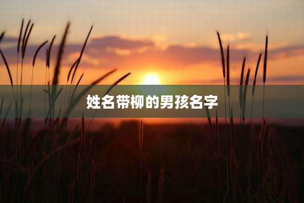 姓名带柳的男孩名字