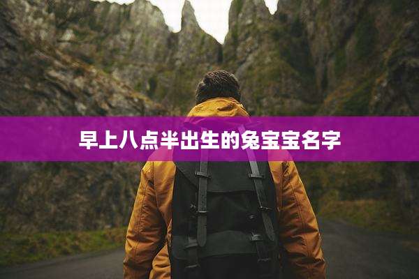 早上八点半出生的兔宝宝名字