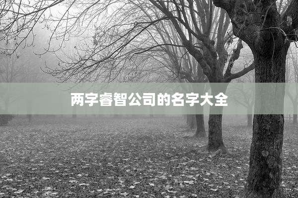 两字睿智公司的名字大全