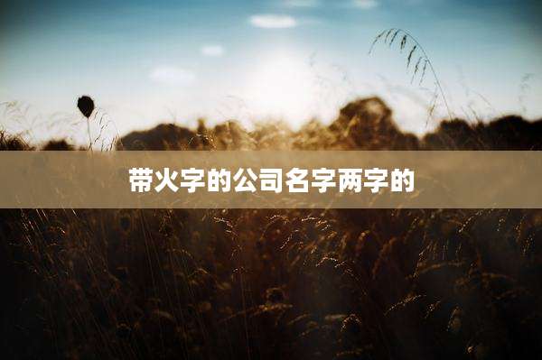 带火字的公司名字两字的