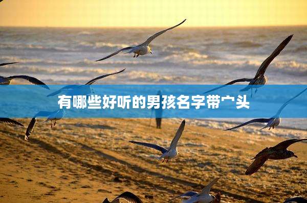 有哪些好听的男孩名字带宀头