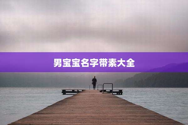 男宝宝名字带素大全