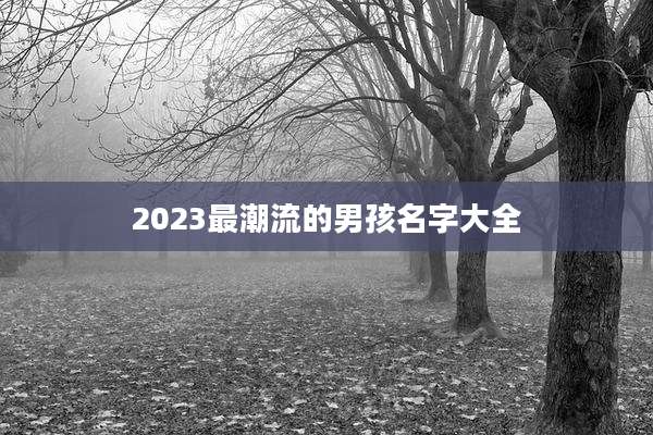 2023最潮流的男孩名字大全