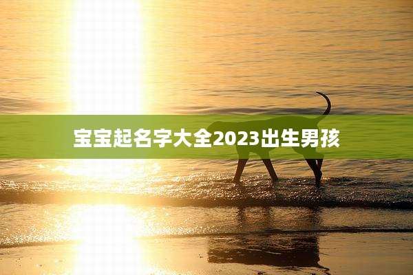 宝宝起名字大全2023出生男孩