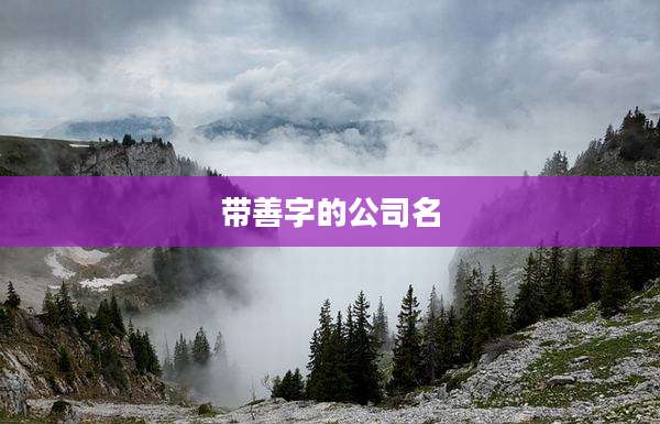 带善字的公司名