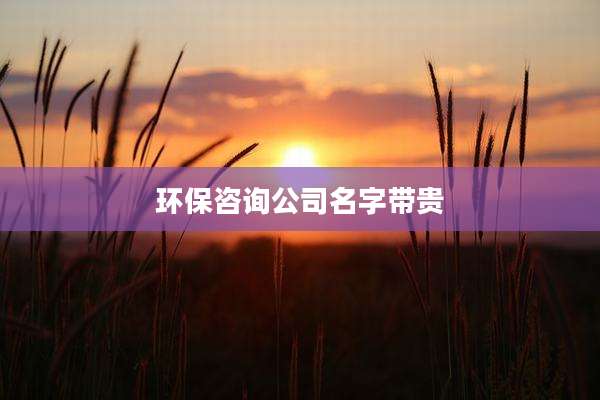 环保咨询公司名字带贵