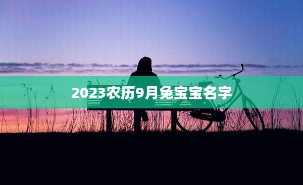 2023农历9月兔宝宝名字
