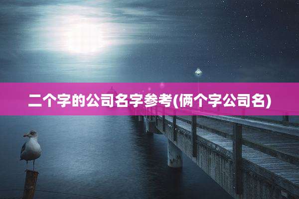 二个字的公司名字参考(俩个字公司名)