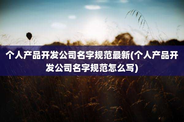 个人产品开发公司名字规范最新(个人产品开发公司名字规范怎么写)