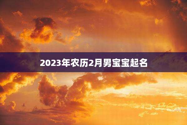 2023年农历2月男宝宝起名