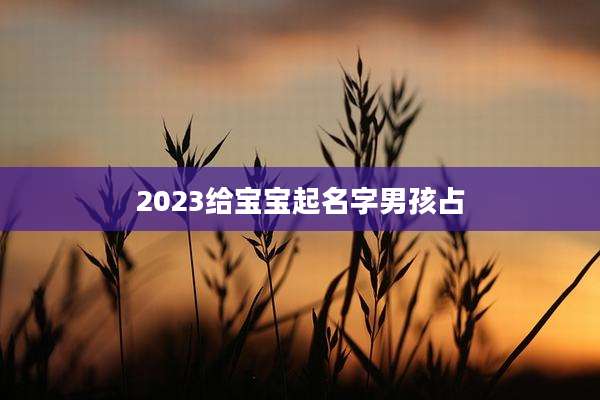 2023给宝宝起名字男孩占